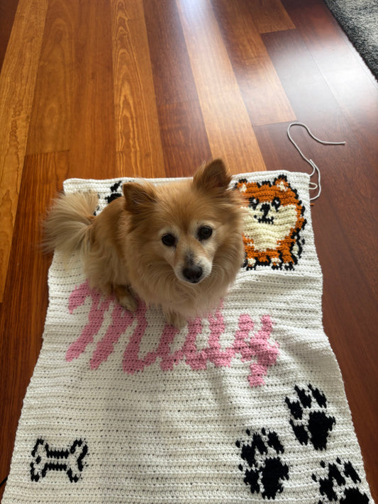 Picture depicts a happy dog sitting on a personalised blanket with a bone, paw prints, illustration of a Pomeranian and her name.