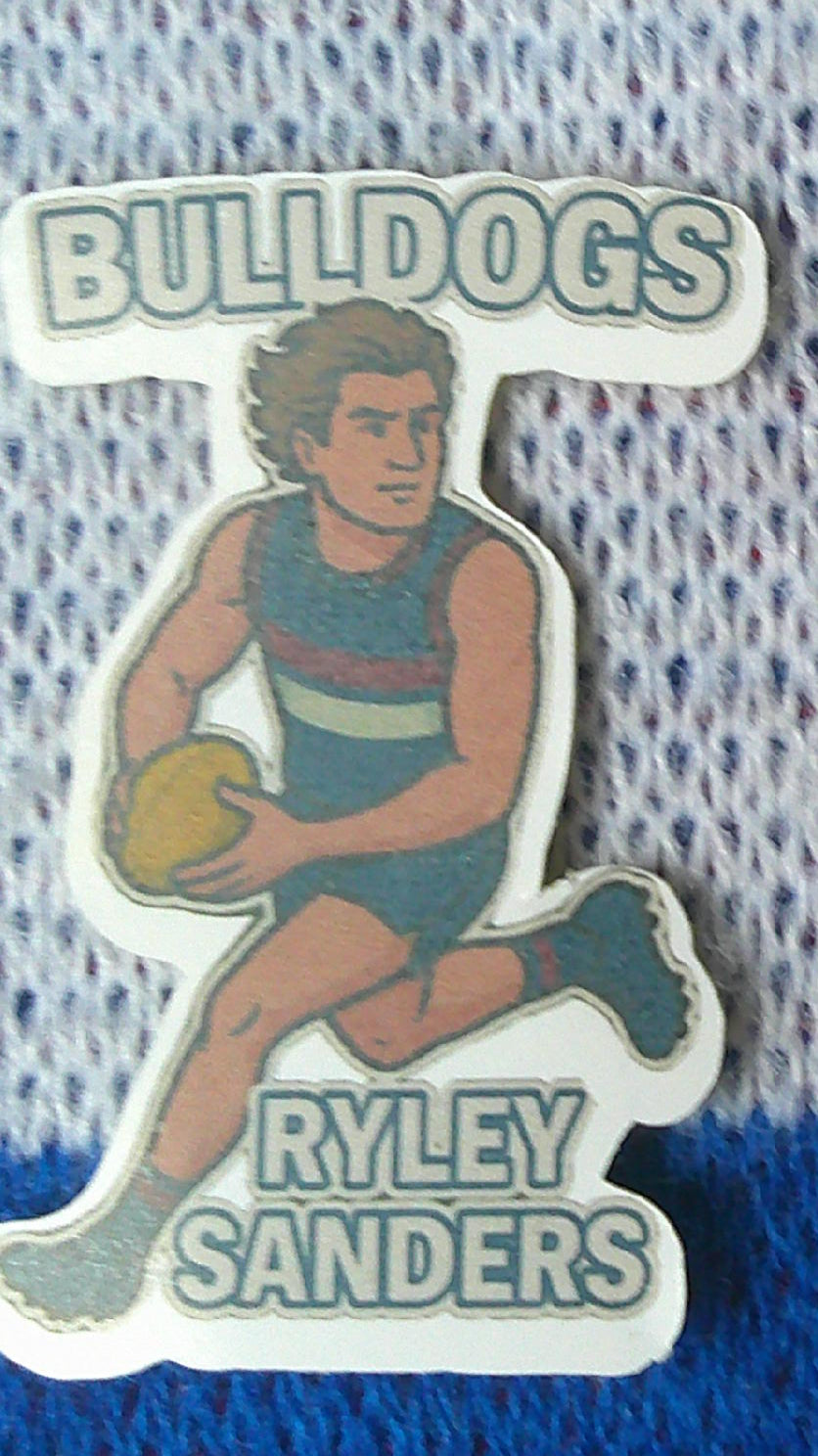 9. Ryley Sanders Sticker