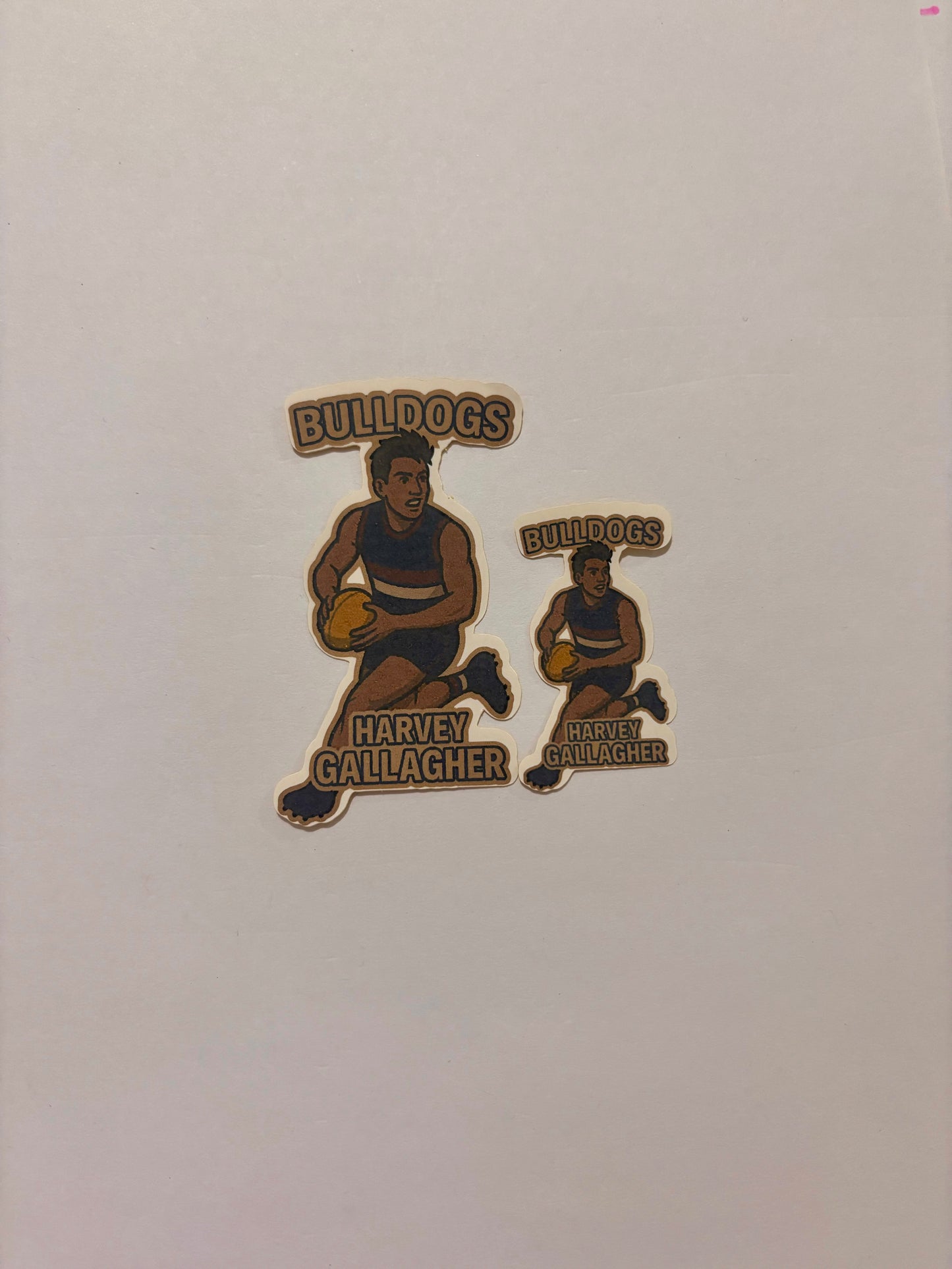 12. Harvey Gallagher Sticker