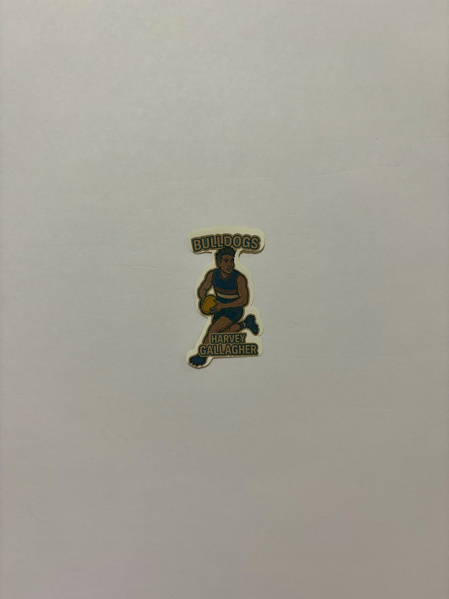 12. Harvey Gallagher Sticker