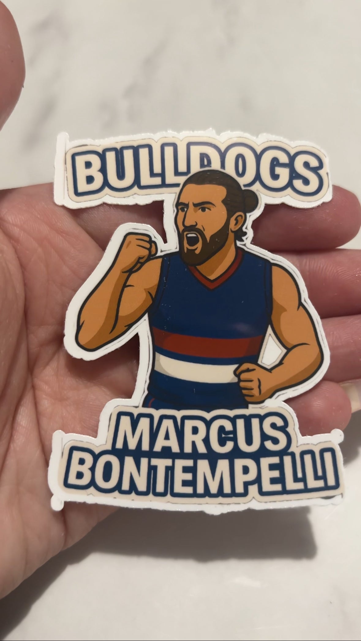 AFL MYSTERY STICKER PACKS