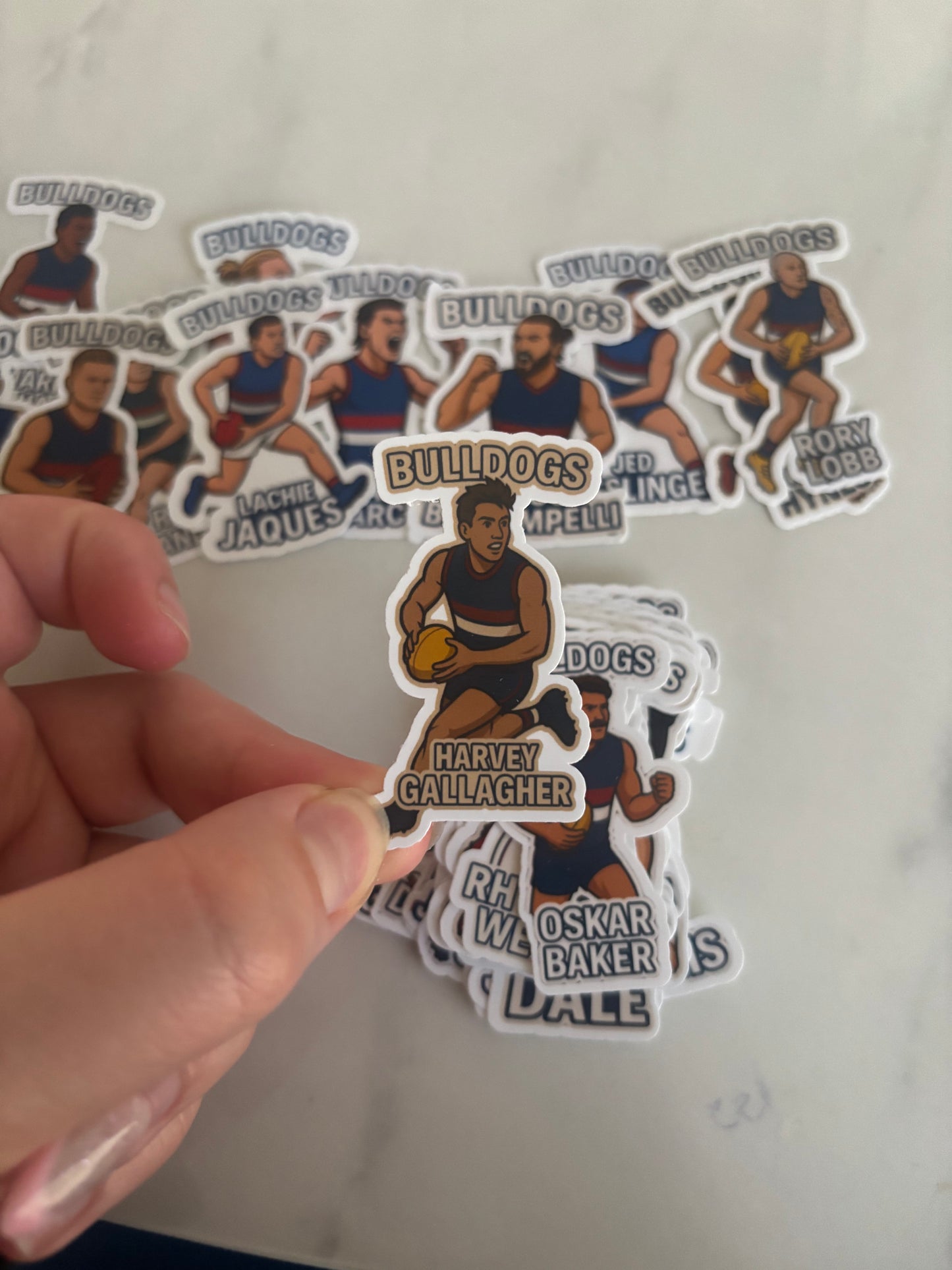 12. Harvey Gallagher Sticker