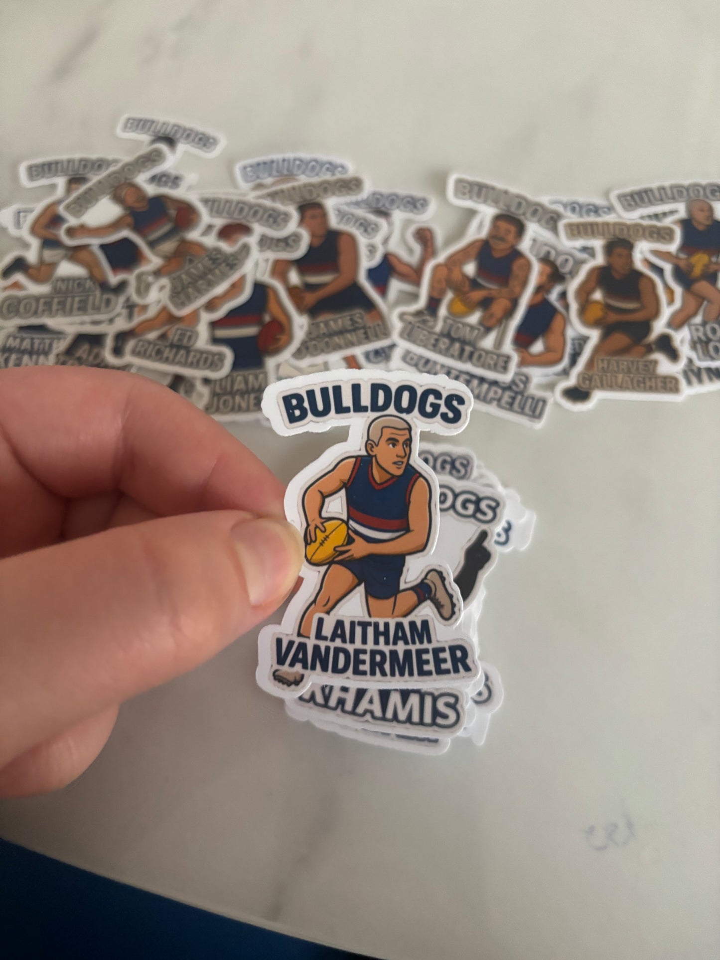 23. Laitham Vandermeer Sticker