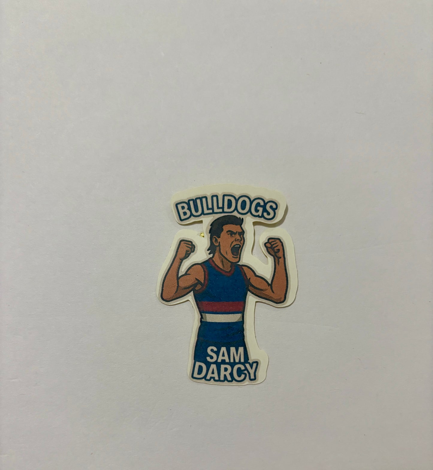 10. Sam Darcy Sticker