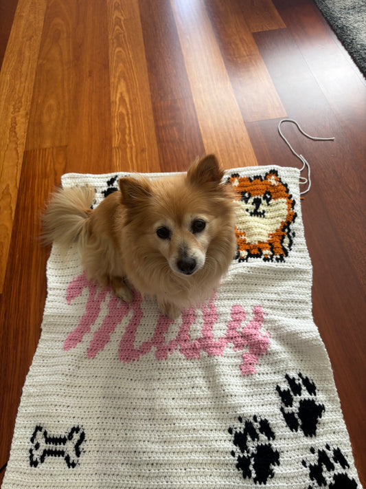 Personalised Crochet Pet Blanket