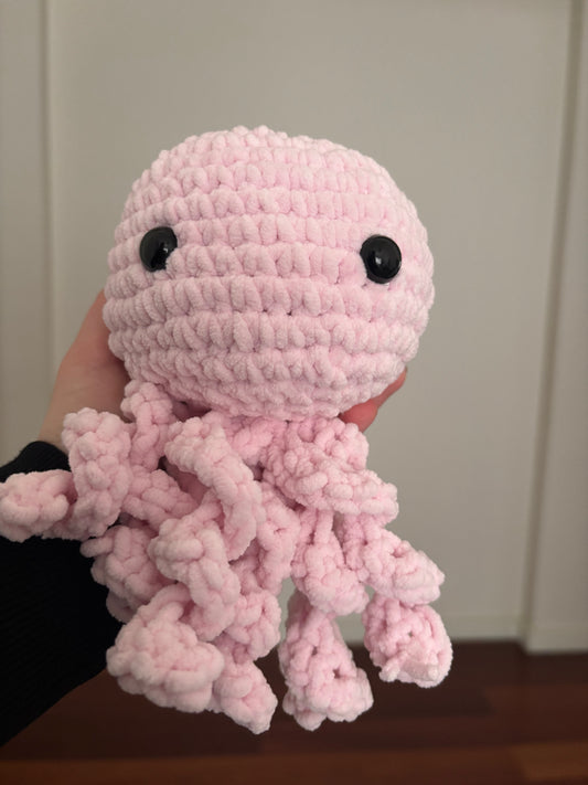 Medium-Sized Octopus